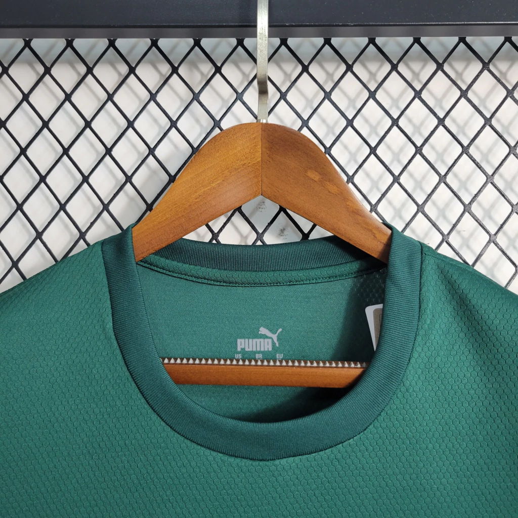 Camisa do Palmeiras Treino 2023-2024 Camisa do Palmeiras Treino 2023-2024