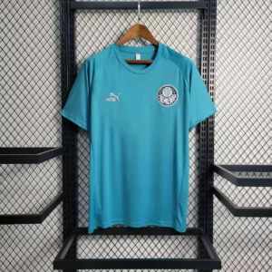 Camisa do Palmeiras Treino 2023-2024
