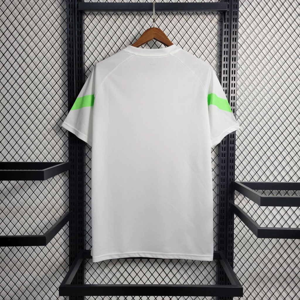 Camisa do Palmeiras Treino 2023-2024 Camisa do Palmeiras Treino 2023-2024