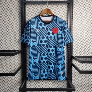 Camisa da Dinamarca Treino 2023-2024