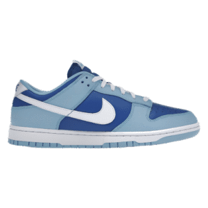 Nike Dunk Low Retro Argon