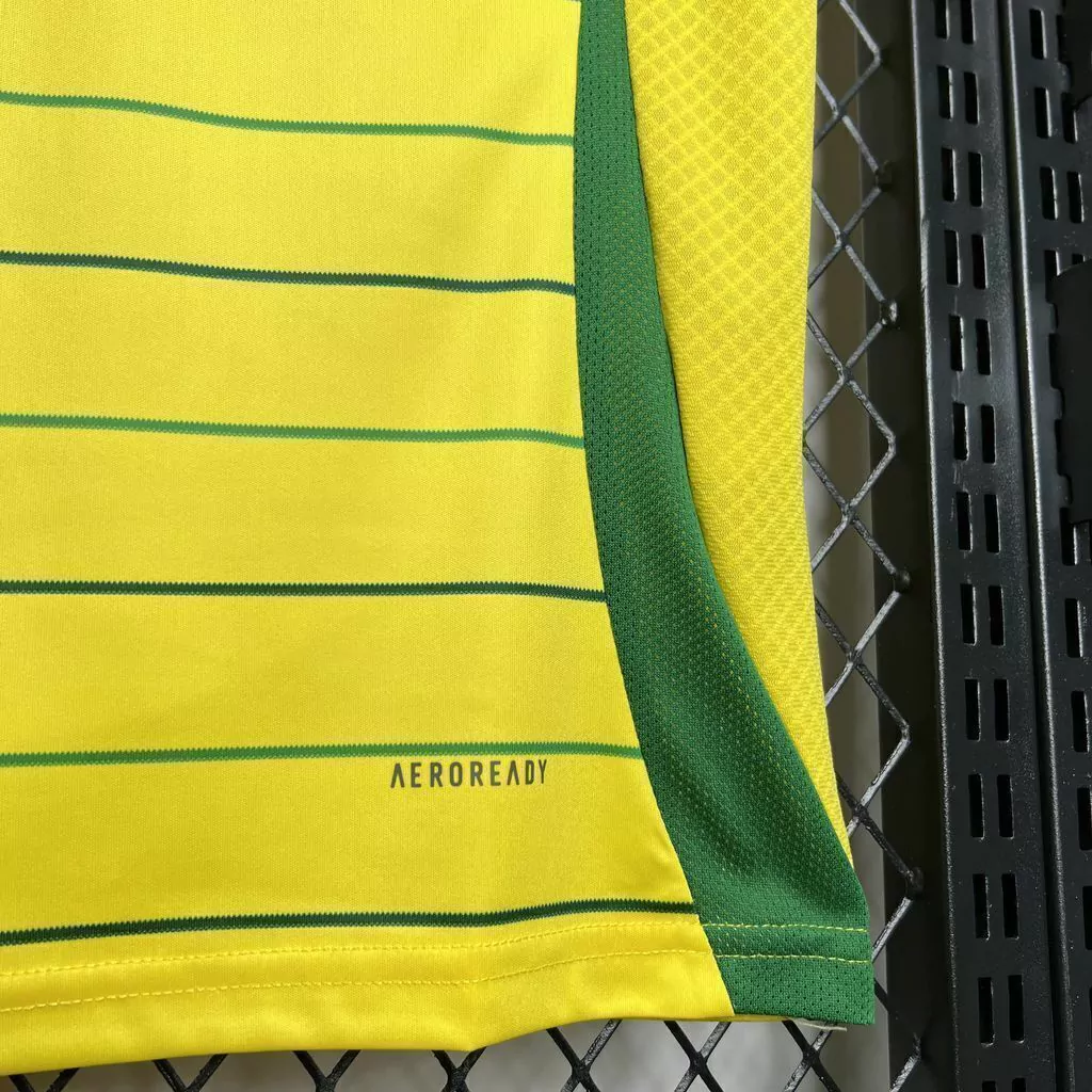 Camisa do Celtic II 2024-2025 Camisa do Celtic II 2024-2025
