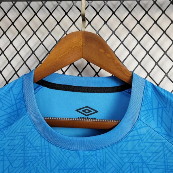 Camisa do Grêmio Treino 2024-2025