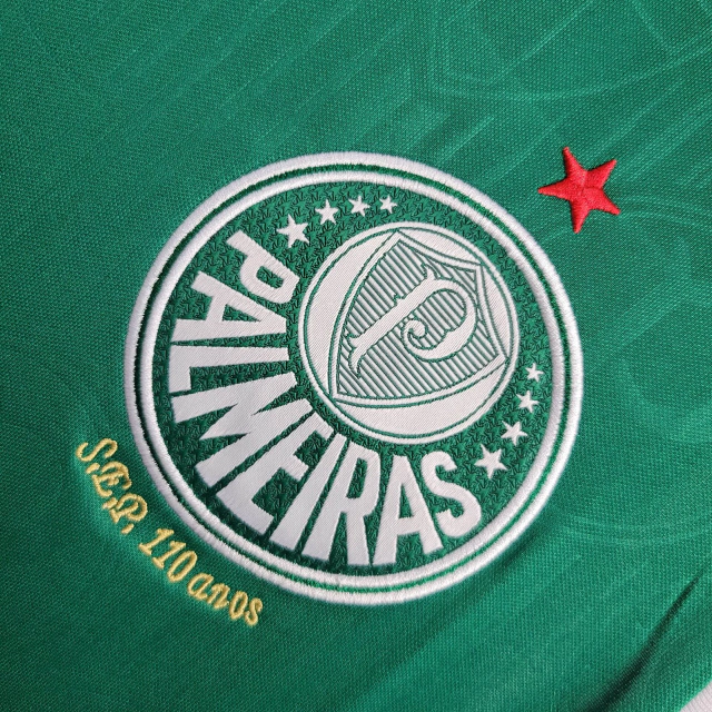 Regata do Palmeiras I 2024-2025 Regata do Palmeiras I 2024-2025
