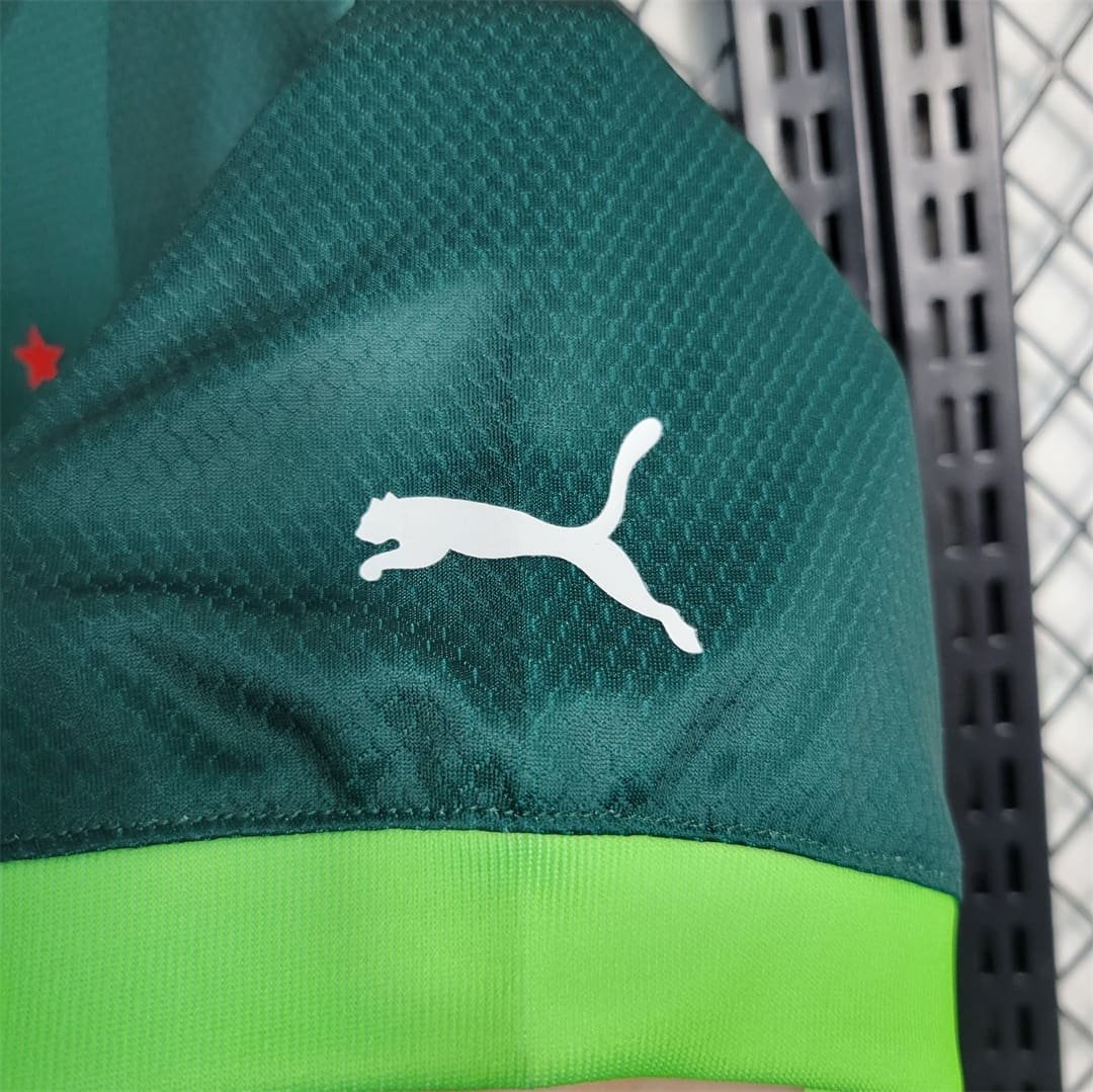 Camisa do Palmeiras I 2023-2024 Camisa do Palmeiras I 2023-2024