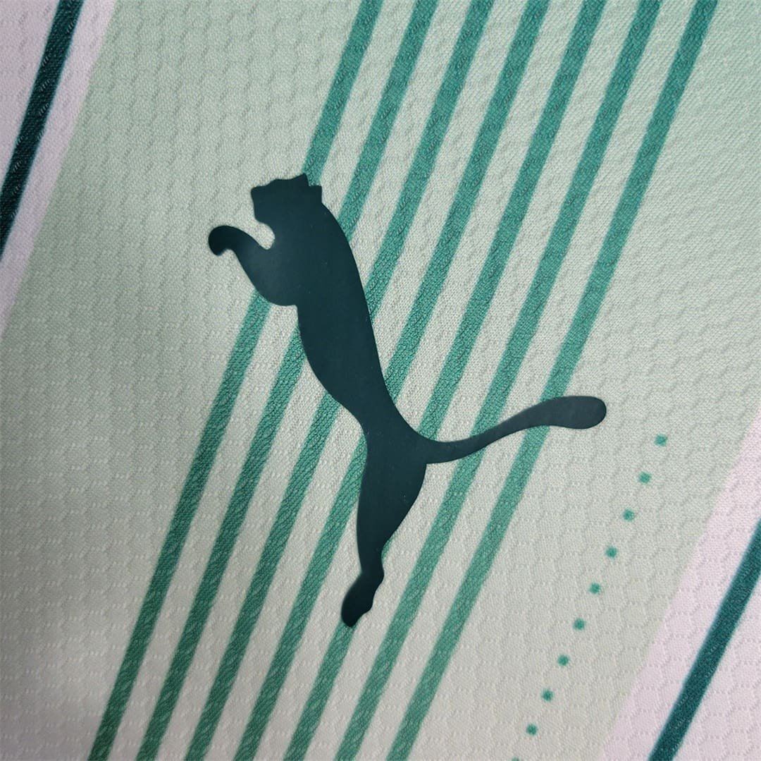 Camisa do Palmeiras Manga Longa II 2023-2024 Camisa do Palmeiras Manga Longa II 2023-2024Camisa do Palmeiras Manga Longa II 2023-2024