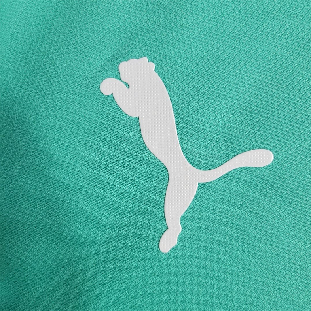 Camisa do Palmeiras III 2019-2020 Camisa do Palmeiras III 2019-2020