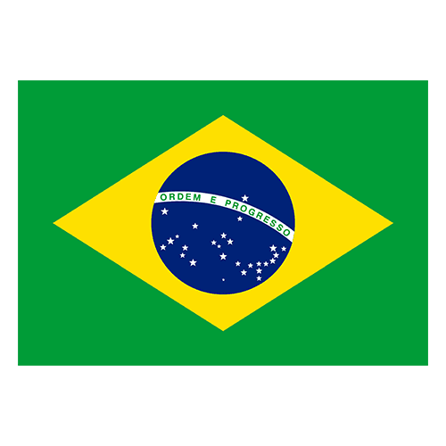 escudo-do-time-brasil