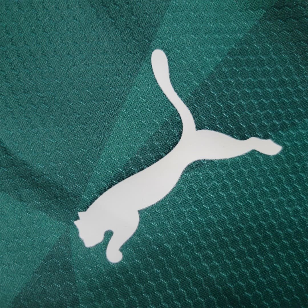 Camisa do Palmeiras I 2023-2024 Camisa do Palmeiras I 2023-2024