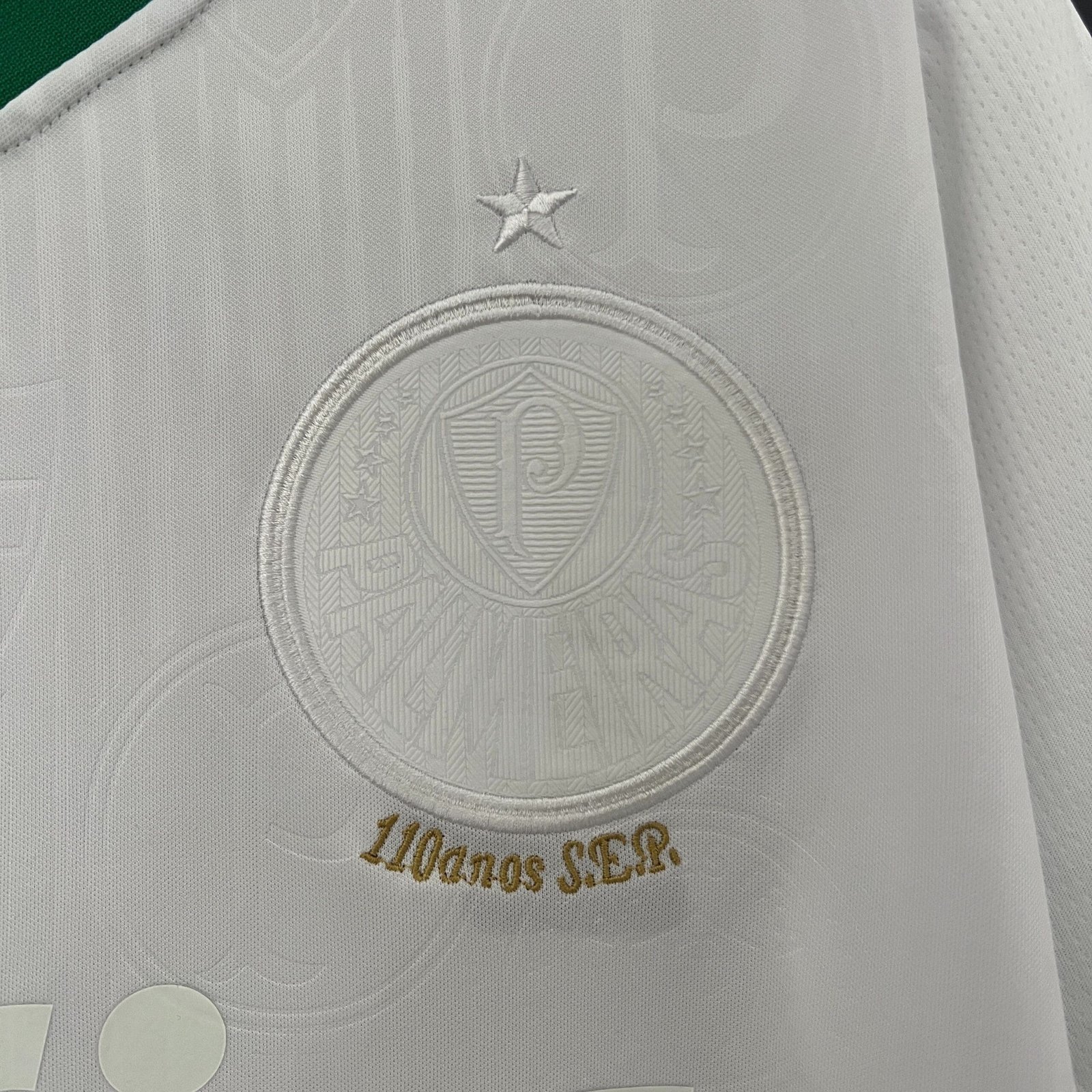 Camisa do Palmeiras EE 2024-2025 Camisa do Palmeiras EE 2024-2025